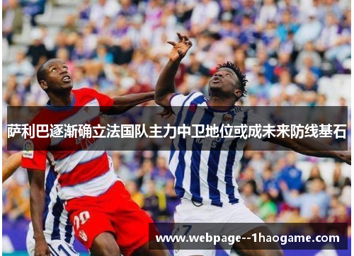 萨利巴逐渐确立法国队主力中卫地位或成未来防线基石